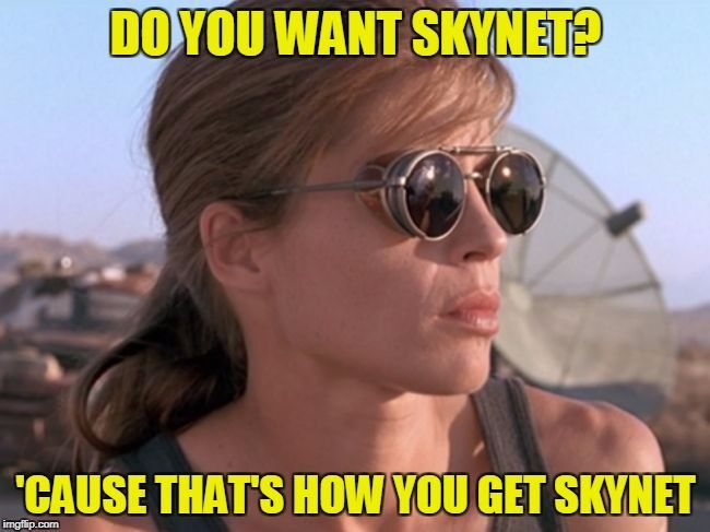 sarahconnorskynet.jpg